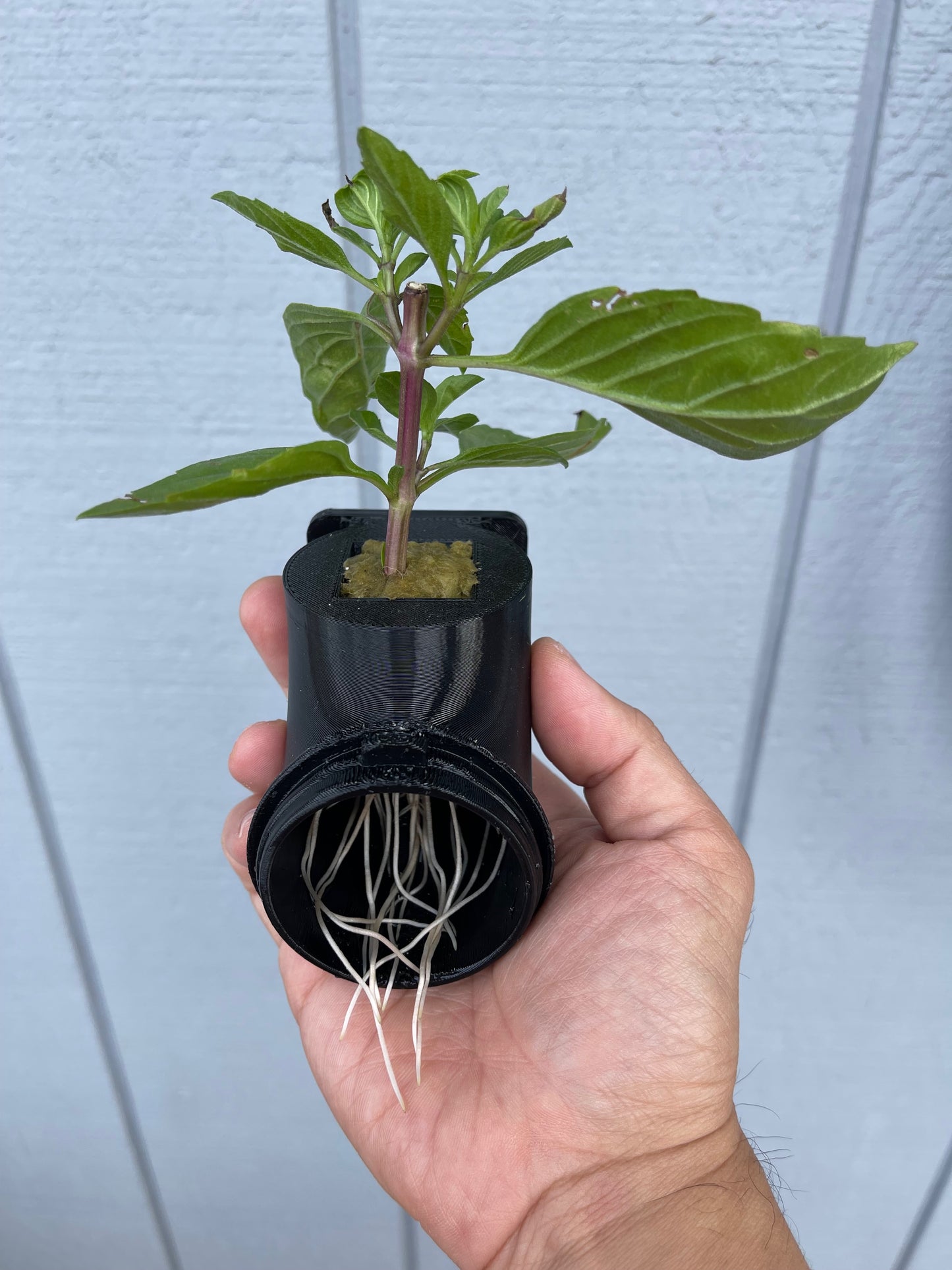 Hydroponic 90-Degree Elbow Adapter - Perfect Fit for 2" 5 Gallon Bucket Hole